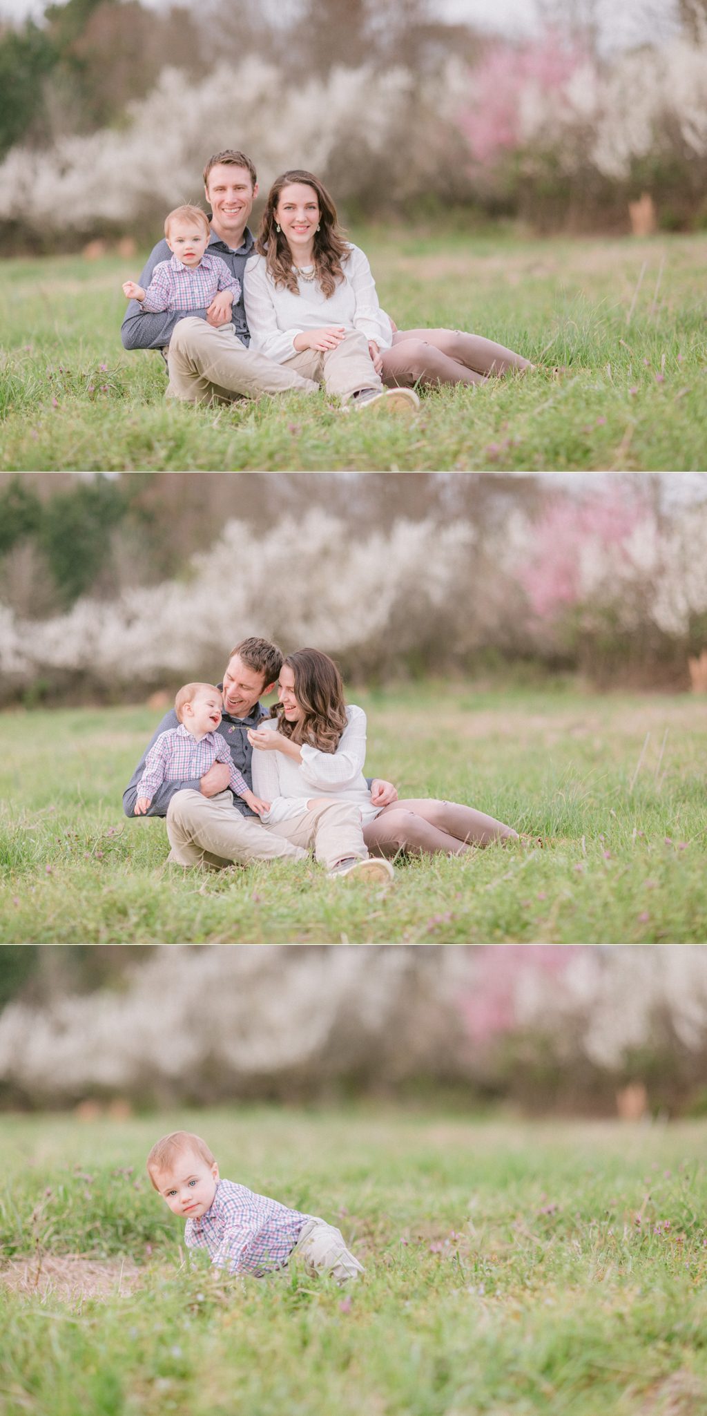 Spring family portraits in Watkinsville, GA with cherry and pear blossoming trees.