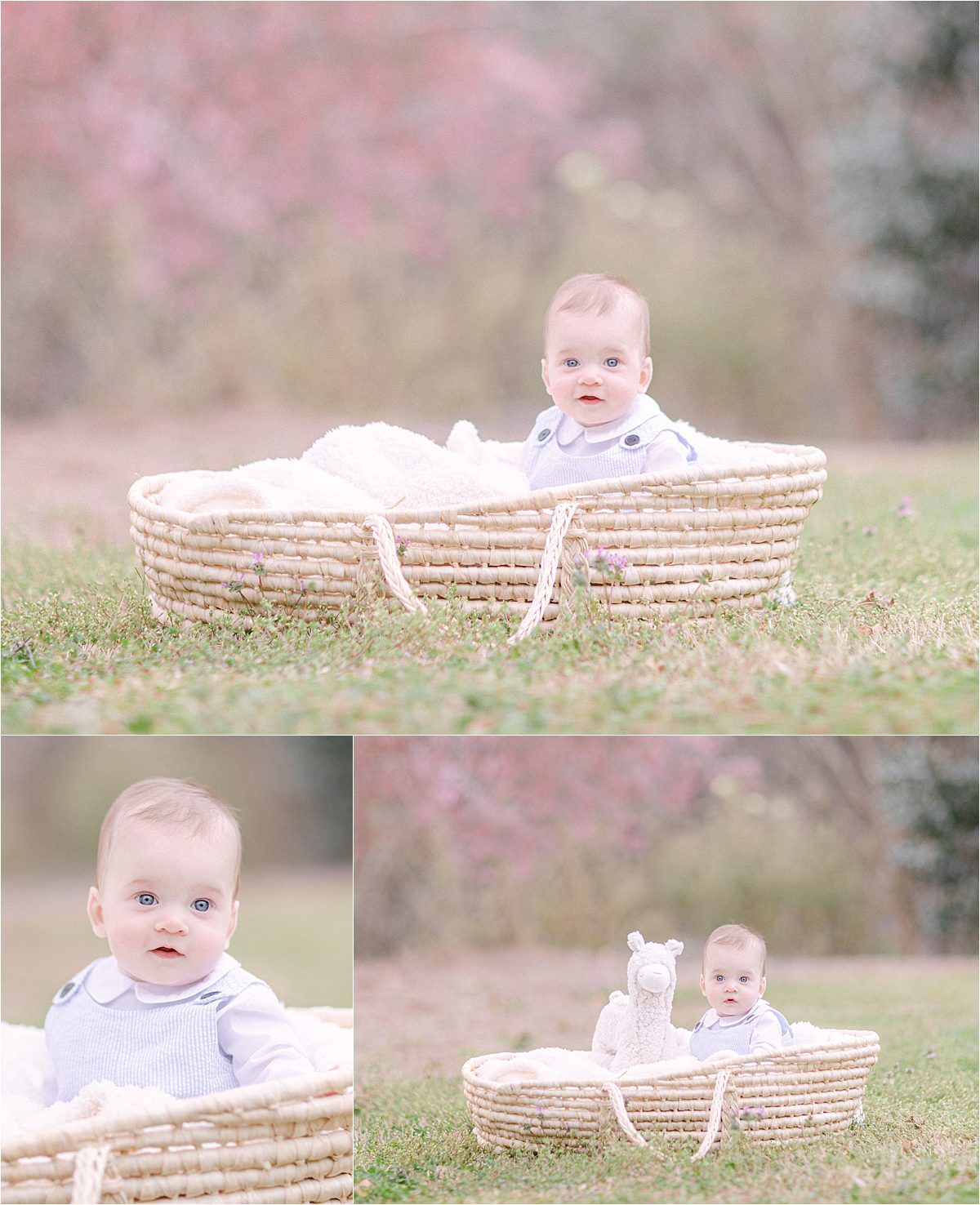 cherry tree blossom session of a baby in Moses basket in Athens, GA