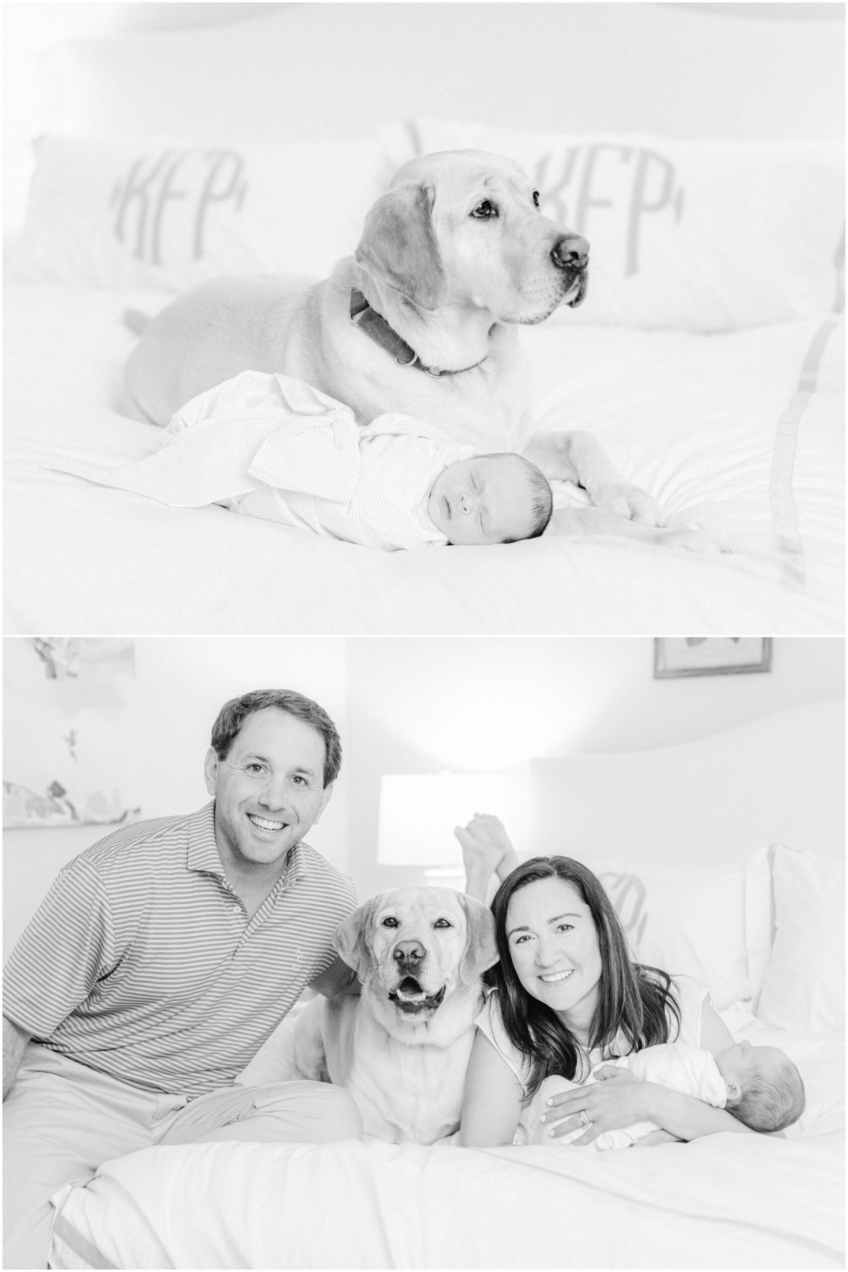Newborn photography Athens GA with family dog.