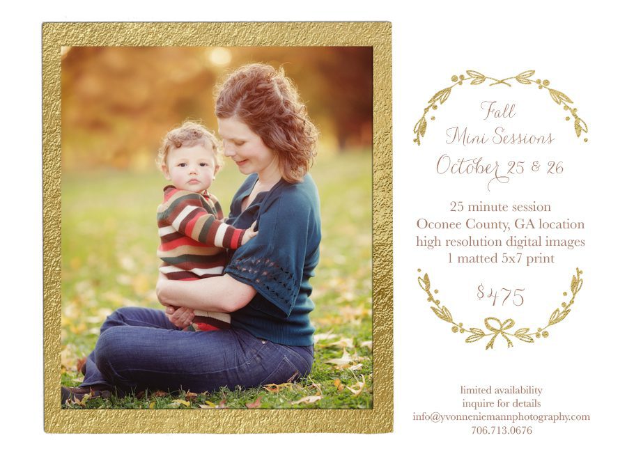Oconee County, GA Fall mini portrait session announcement by Yvonne Niemann Photography.
