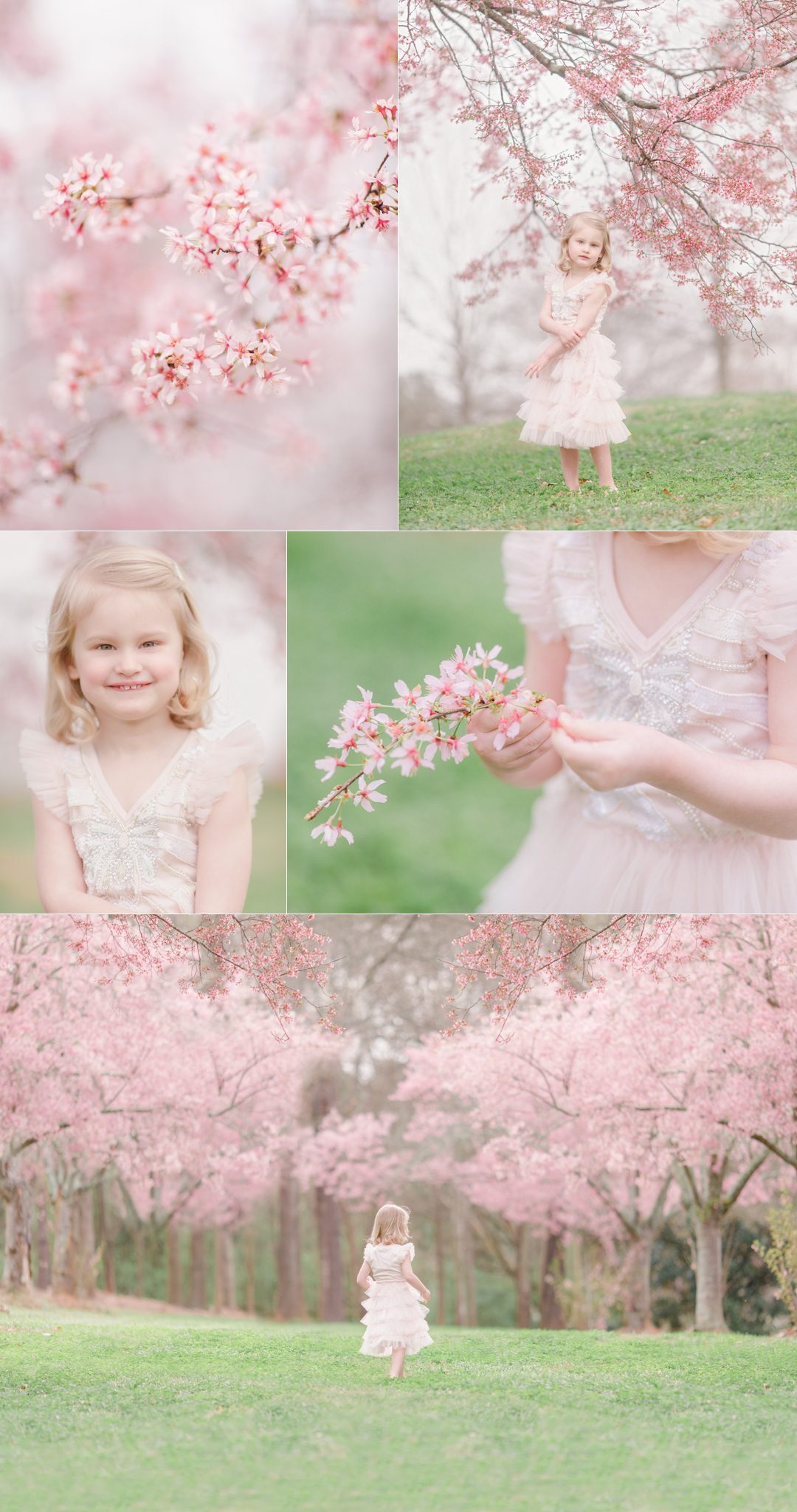 portrait of a little girl surrounded by blossoming cherry trees in Athens, GA.