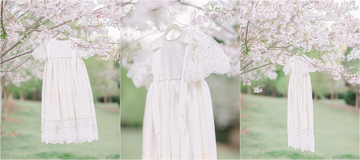 pictures of homemade heirloom dress hanging from cherry tree in Athens, GA