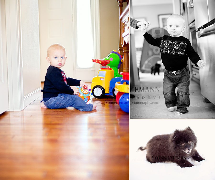 One year old baby boy plays with toys, walks with help from mom and his puppy.