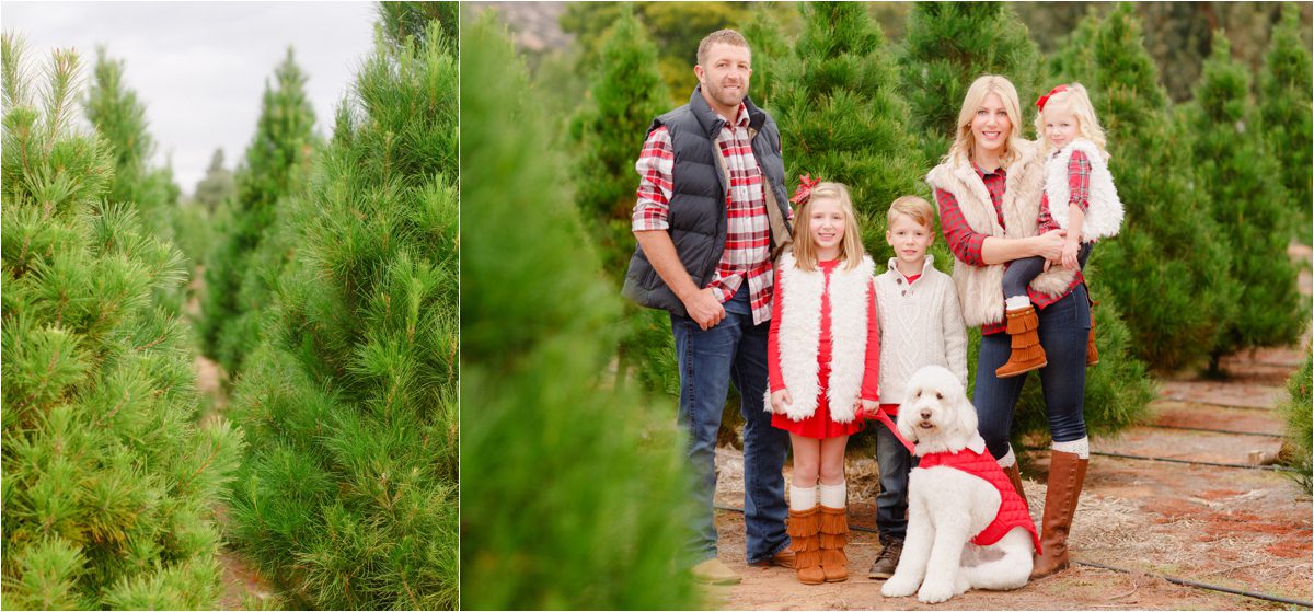 best family photos at Christmas tree farm