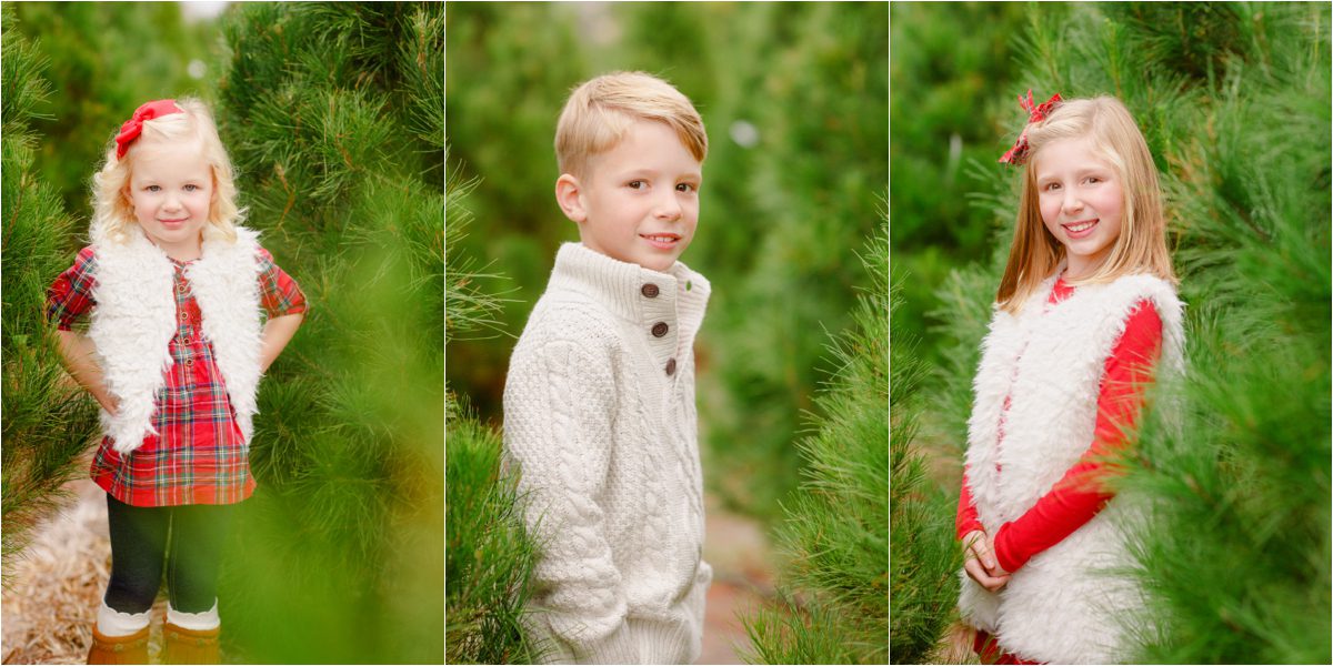 Christmas family photos at tree farm 