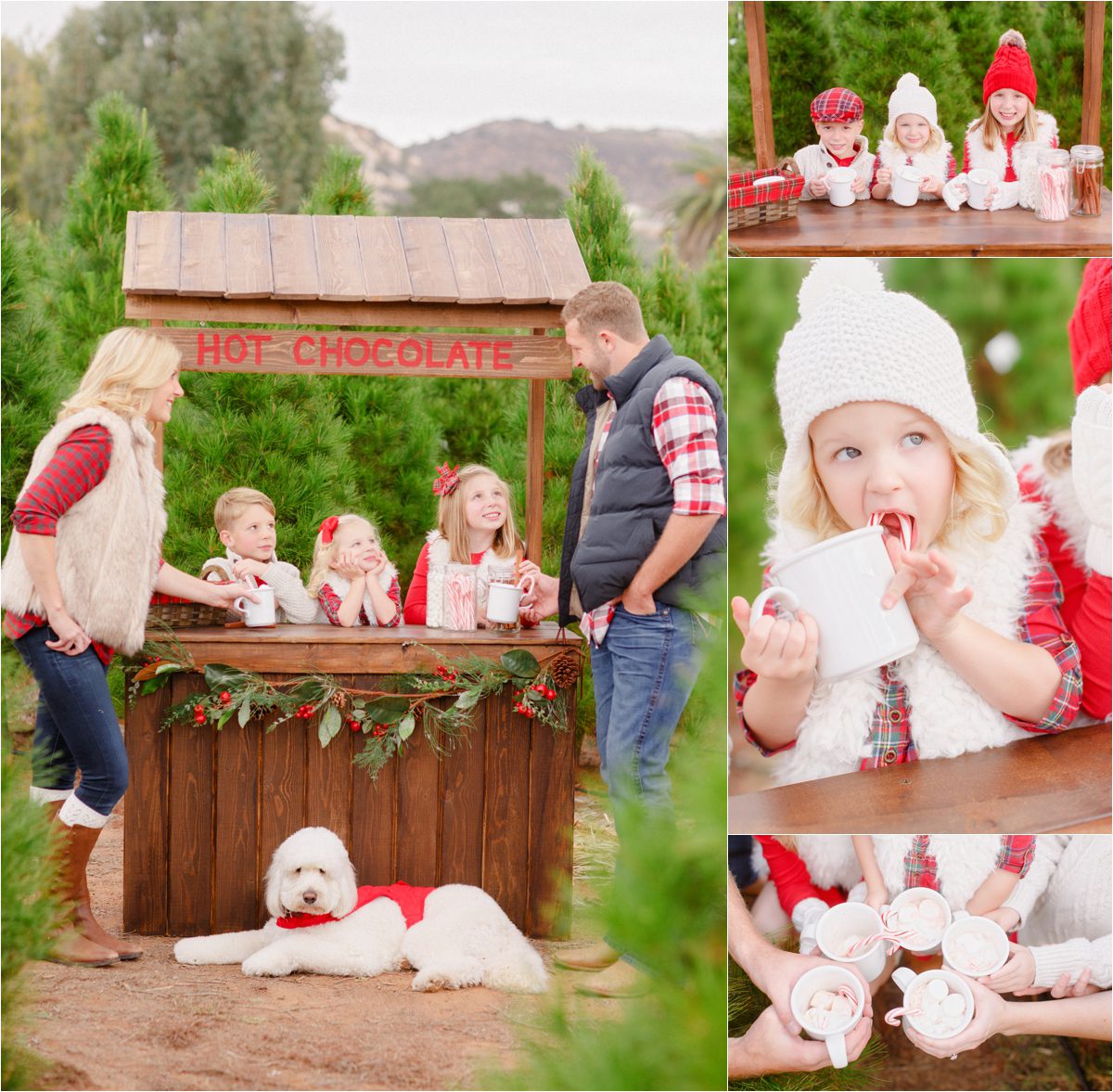 Family Christmas family photos at tree farm with hot cocoa stand