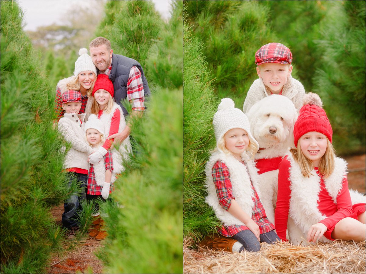 Family portraits at Christmas tree farm