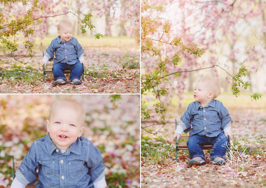 One year old under cherry blossoms in the Spring in Oconee County, GA by Yvonne Niemann Photography.