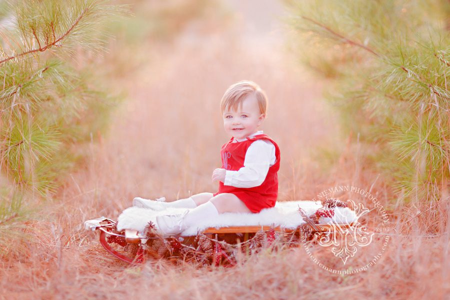 Baby's Christmas portrait in a field of pine trees in Oconee County, GA.