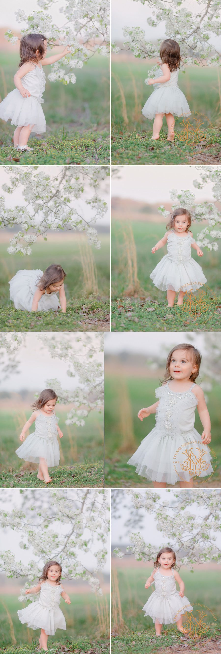 Fine art children's photography in Oconee County of a two year old girl among blossoming pear trees wearing Tutu Du Monde dress.
