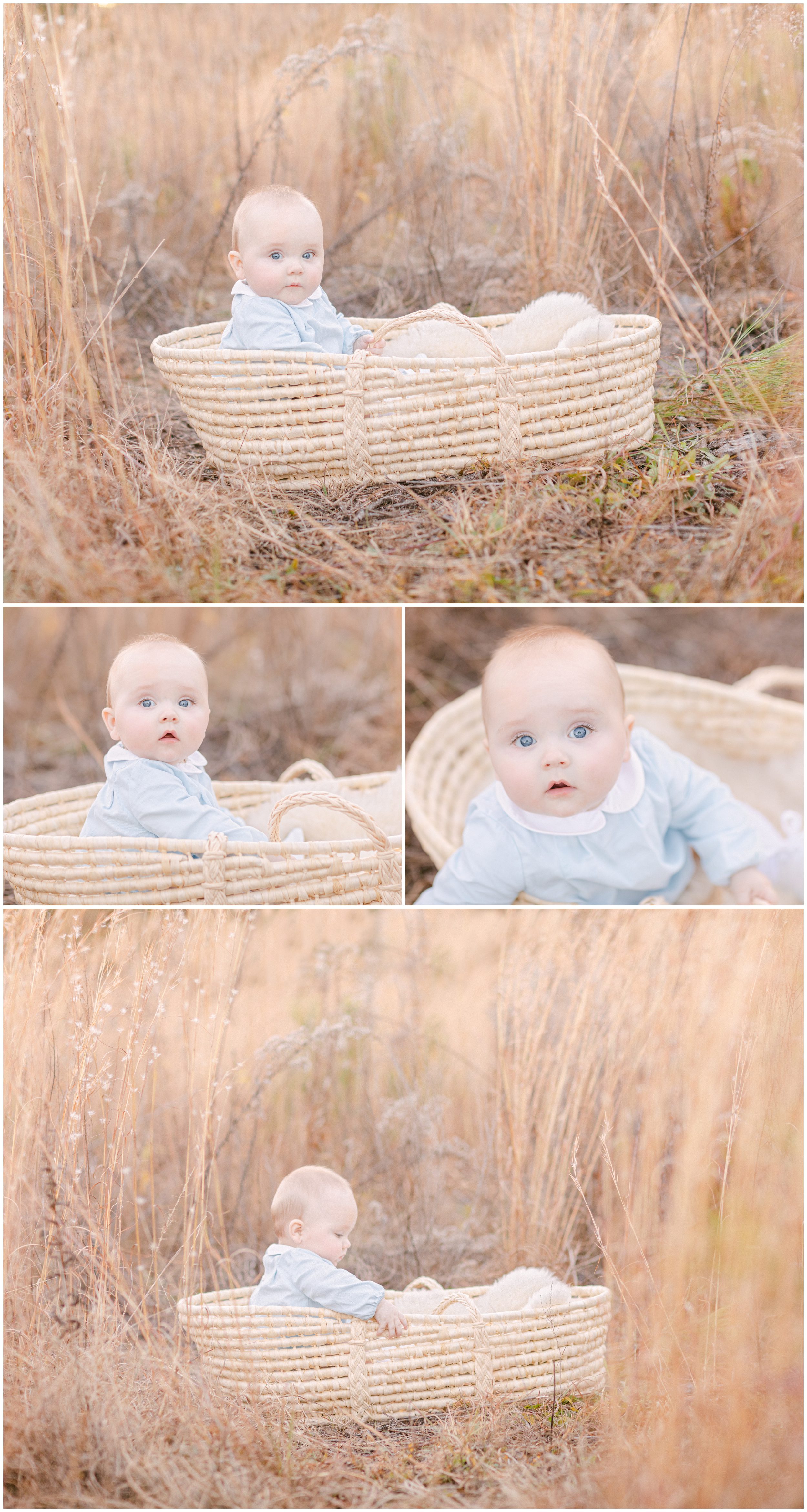 fall family photography of a baby in a golden field in Watkinsville, GA