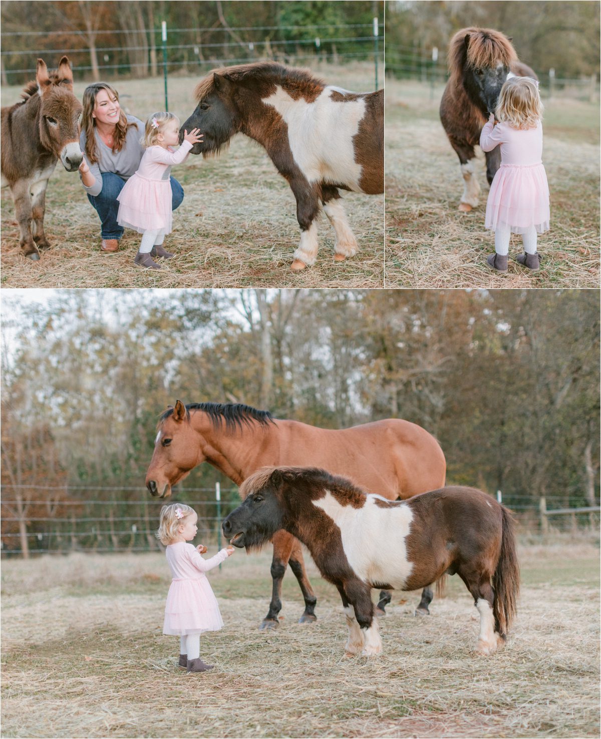 fall photography of family on farm in Athens, GA