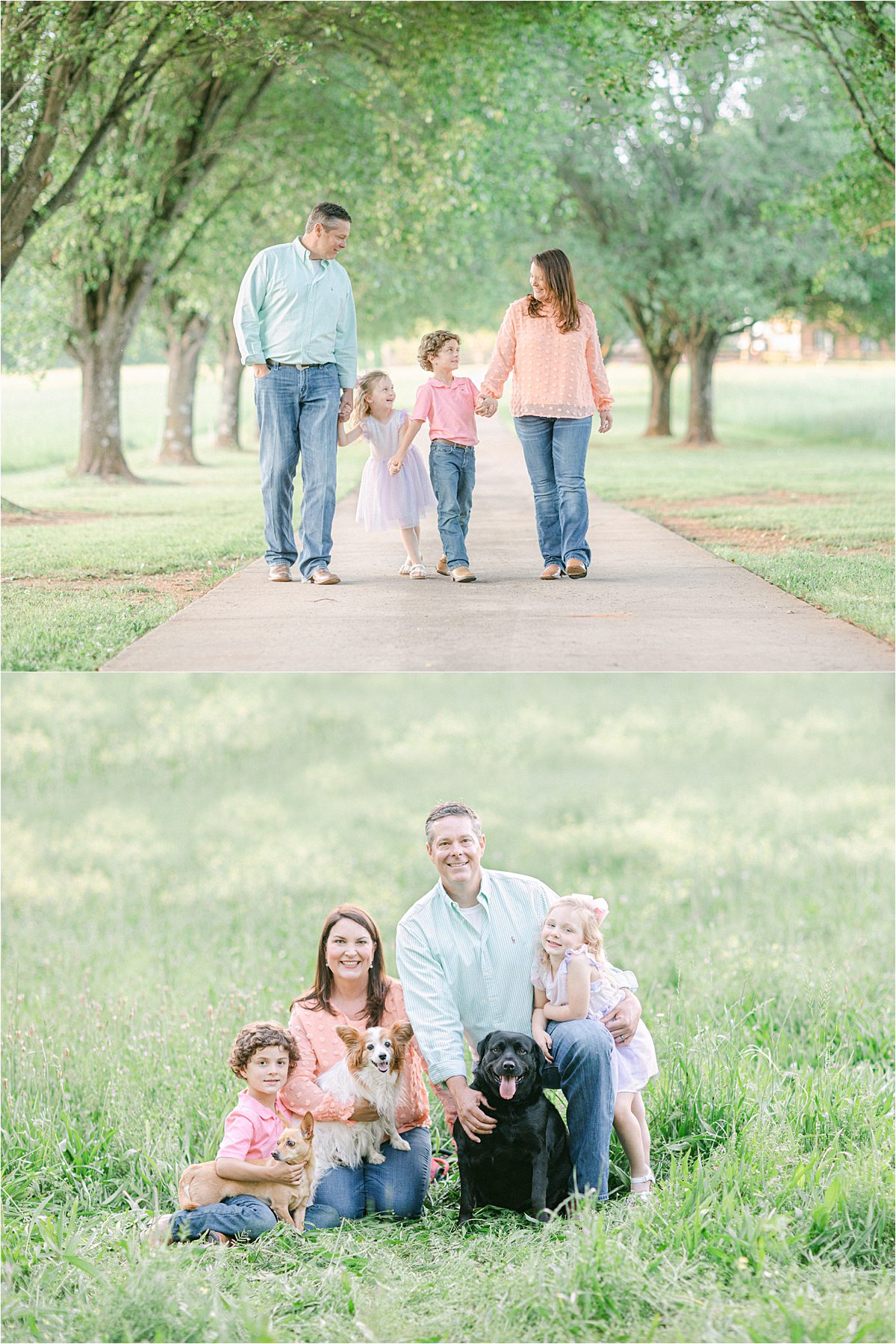 Athens, GA spring family pictures on treelined driveway and in a field by their house.