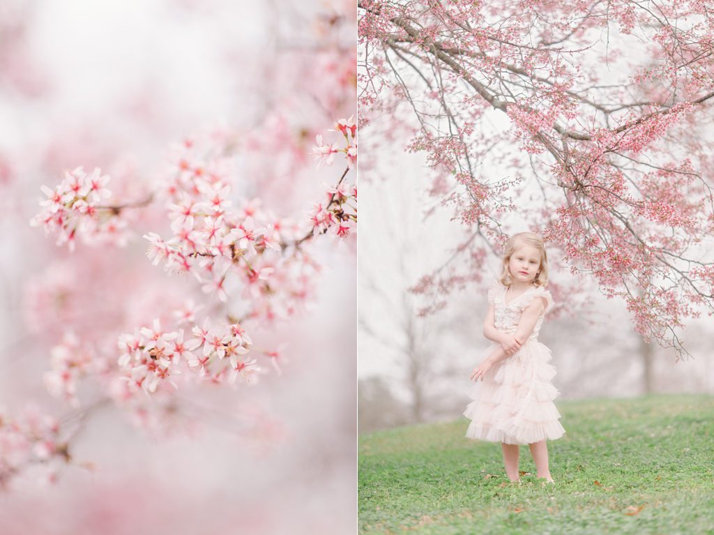 Athens GA Spring child portraits taken surrounded by cherry blossoms on UGA campus.