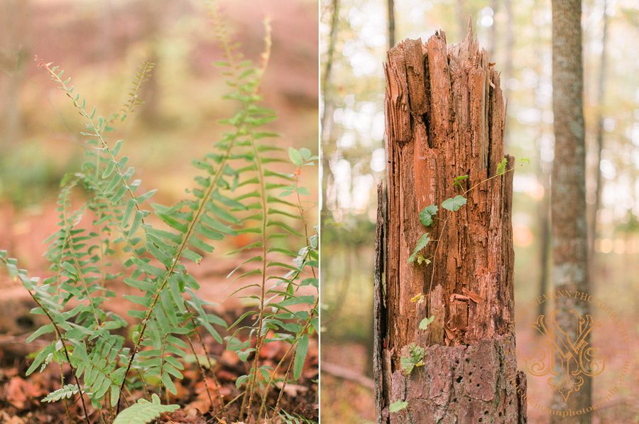 detail photos in the woods in Bishop, GA taken by Yvonne Niemann Photography.