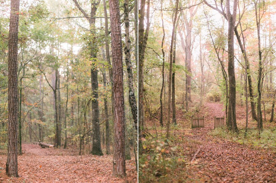 hiking trails in Bishop, GA photographed by Yvonne Niemann Photography