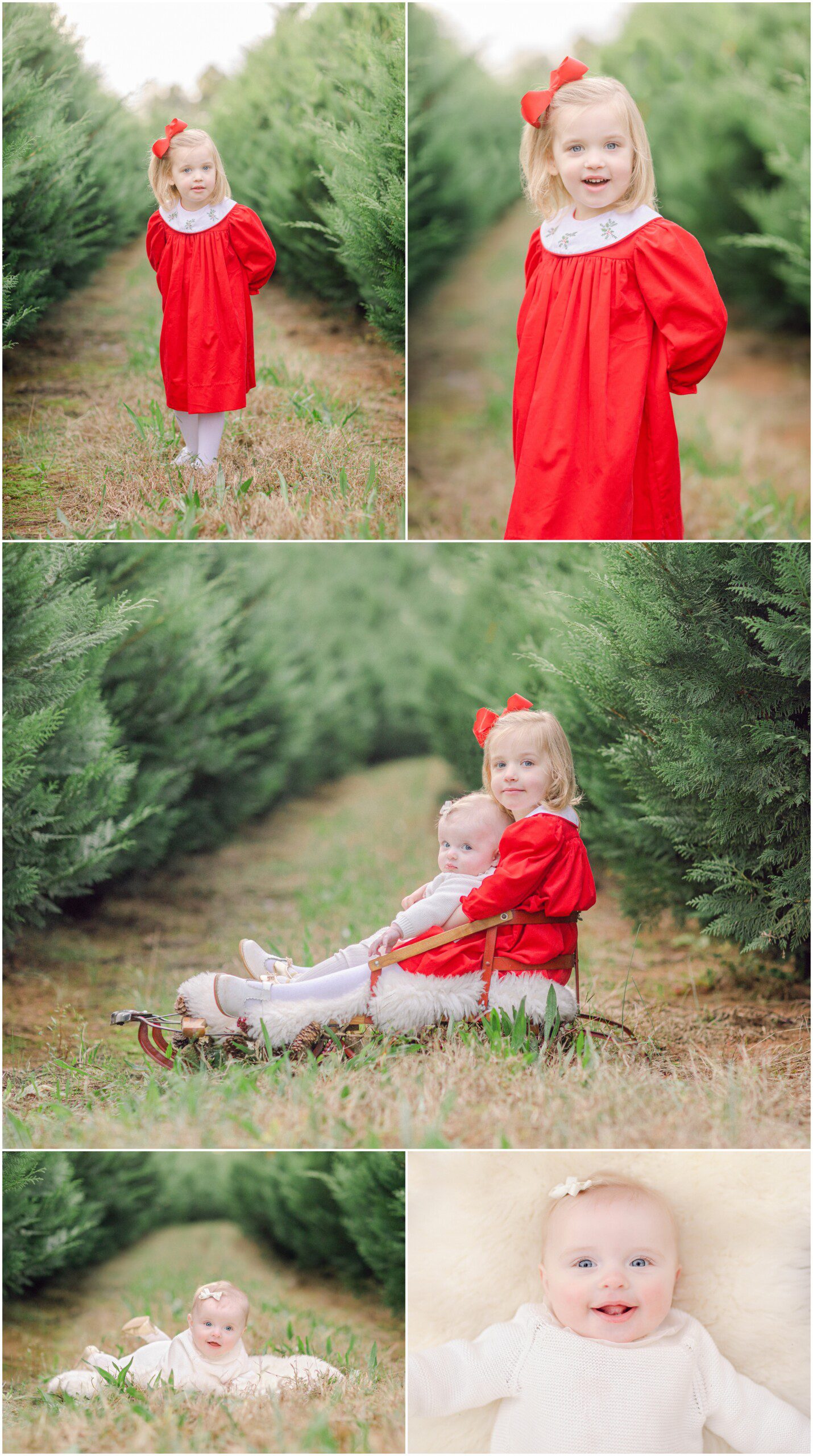 Christmas family portraits at tree farm in Bishop, GA of sisters.