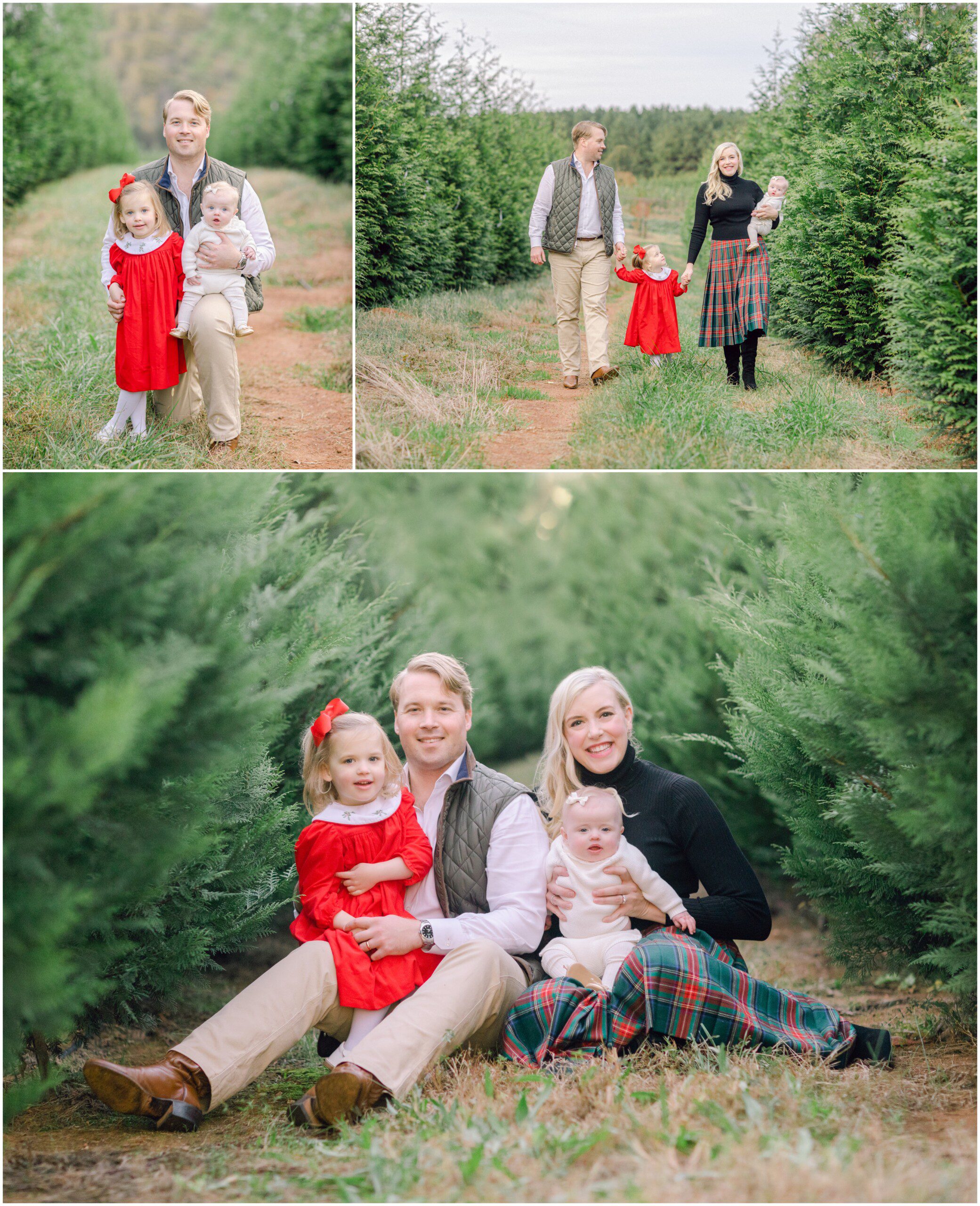 Christmas family portraits at tree farm near Athens, GA.