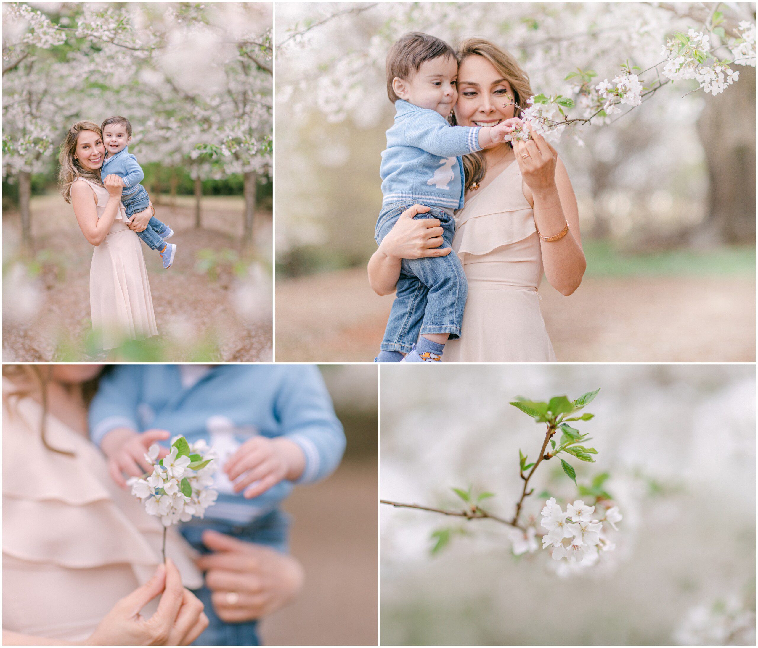 Motherhood cherry blossom portraits Athens, GA