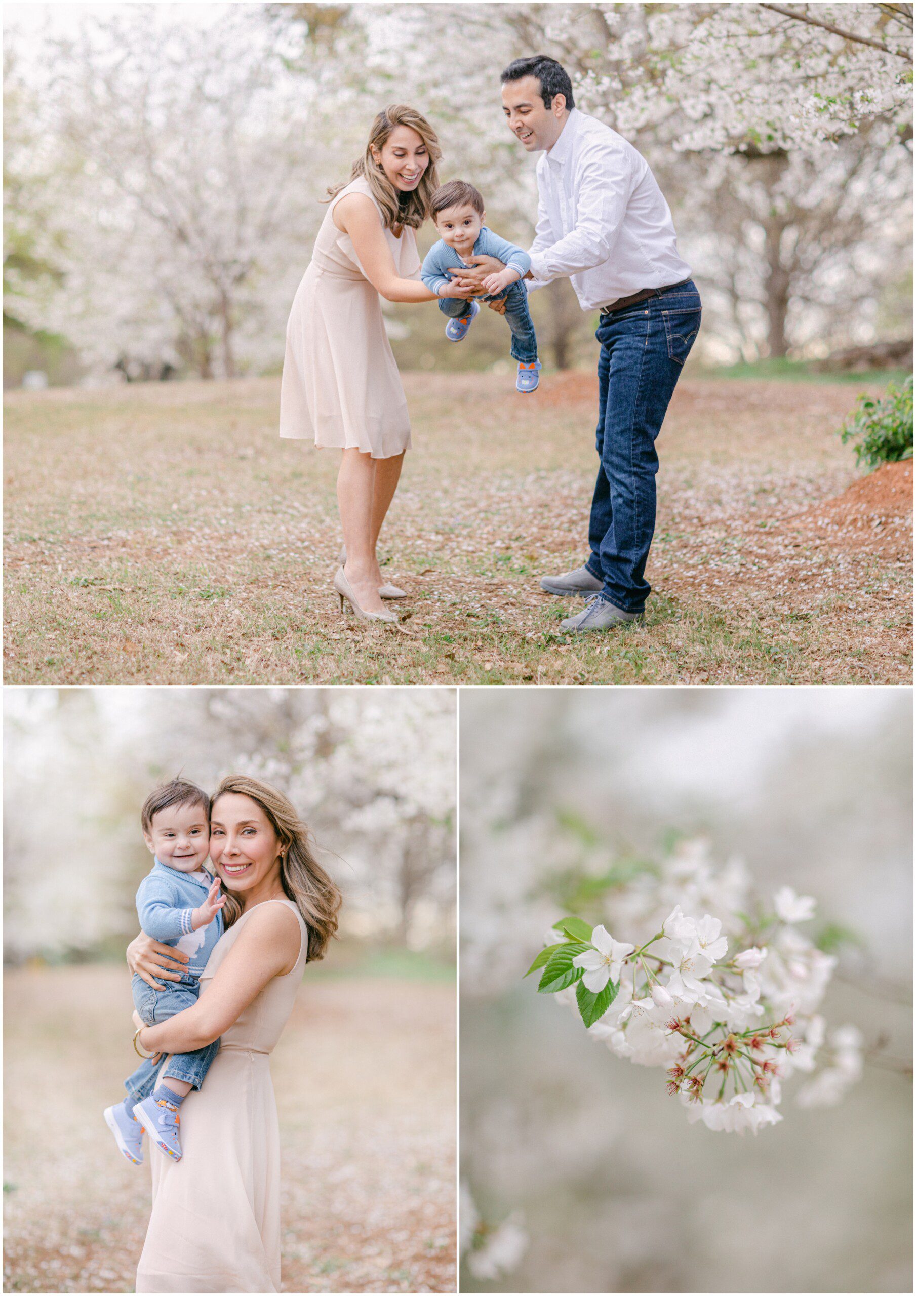 Spring family cherry blossom portraits Athens, GA