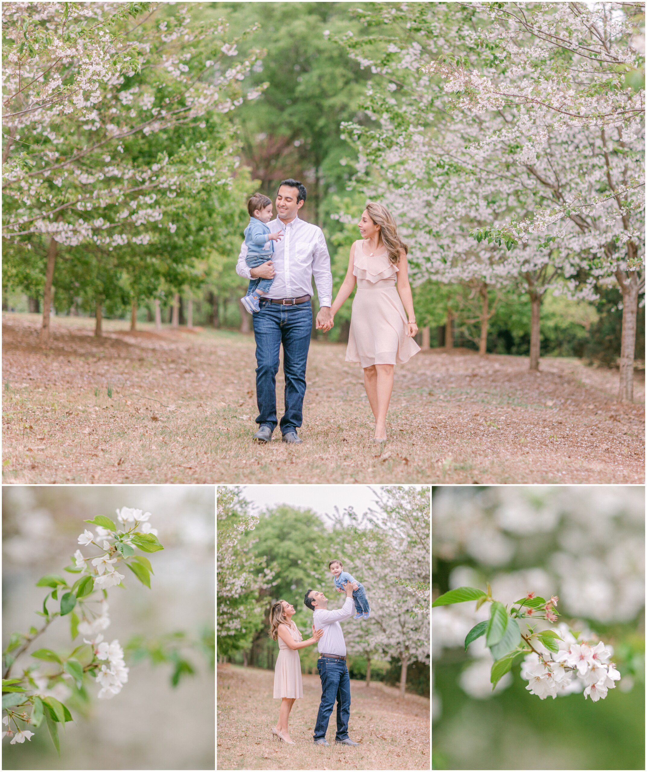 Beautiful family Cherry blossom portraits Athens, GA
