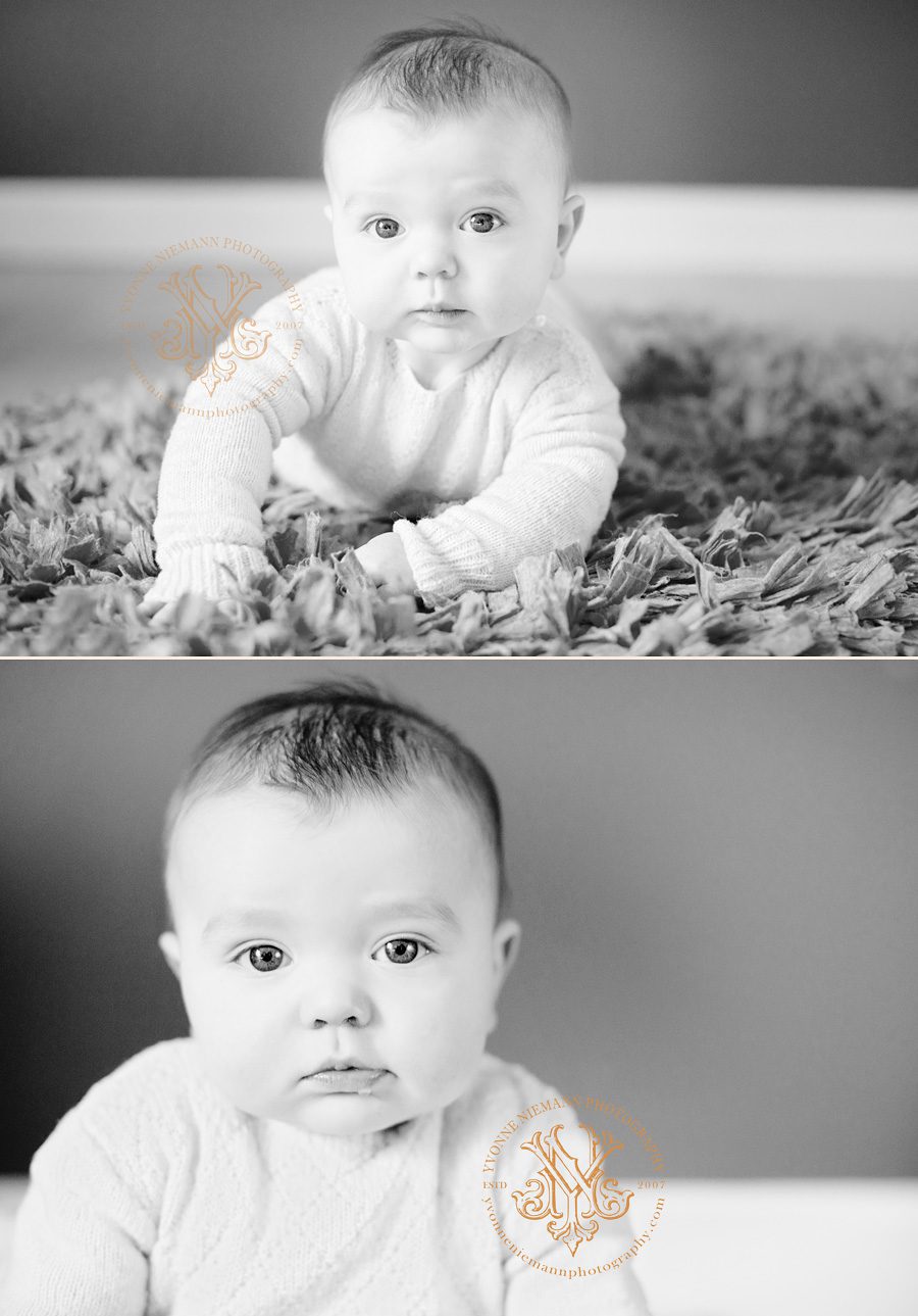Six month baby photography in Wildwood, MO