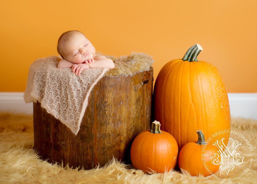 Autumn newborn portrait of one week old surrounded by pumpkins taken by Yvonne Niemann Photography.