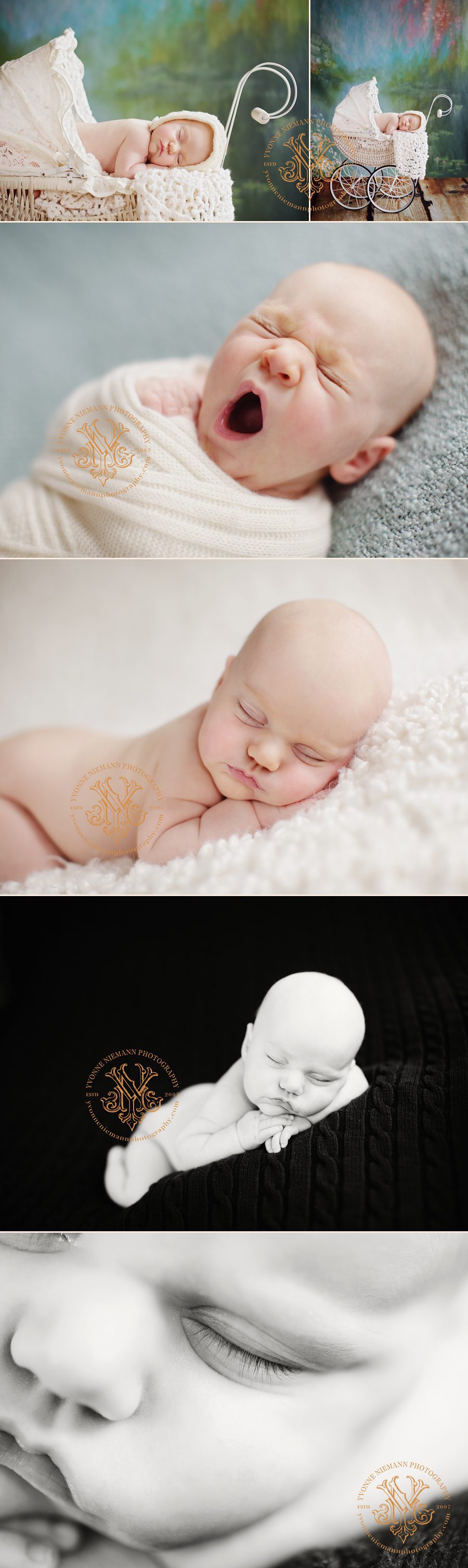 Baby girl infant portraits taken by Yvonne Niemann Photography in O'Fallon