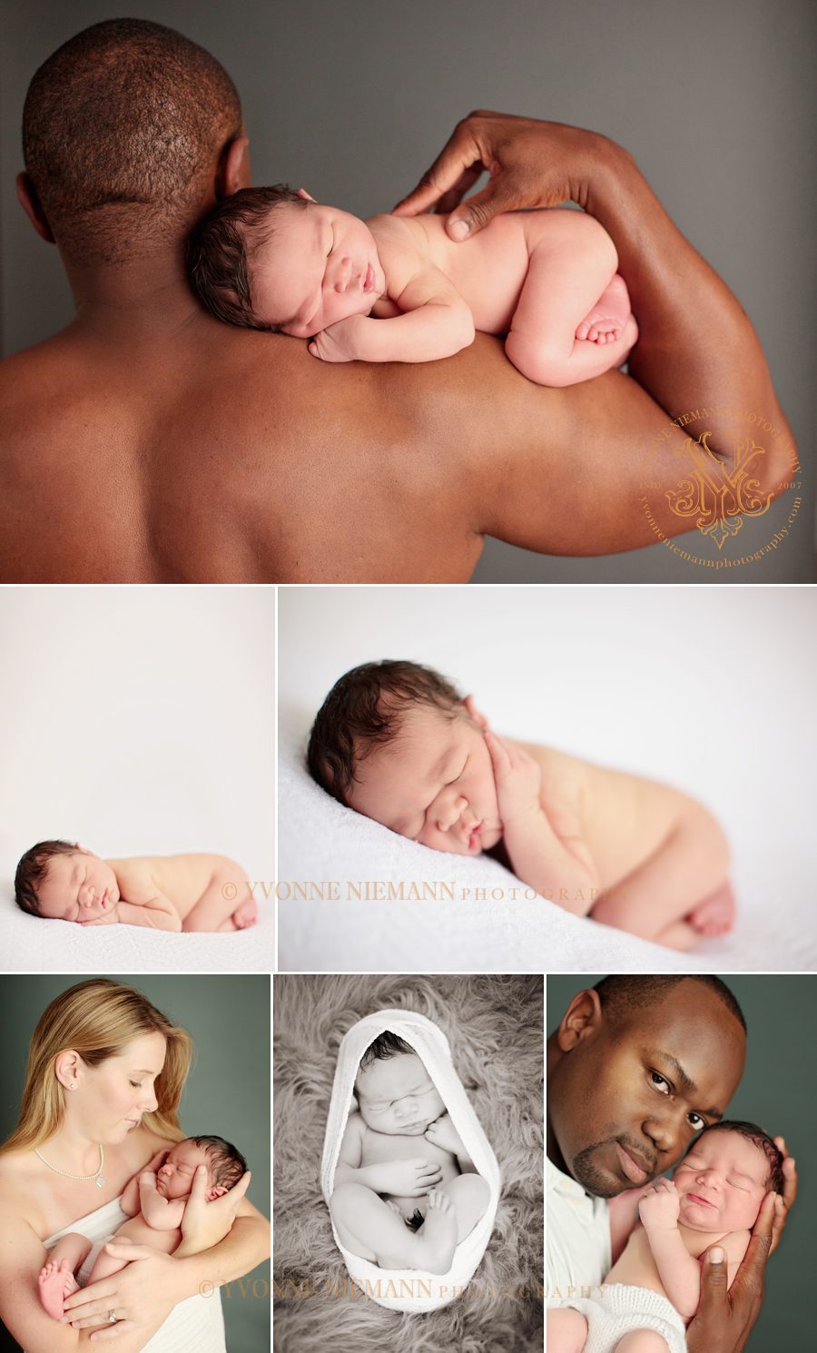 Ballwin Newborn Portraits by Yvonne Niemann Photography