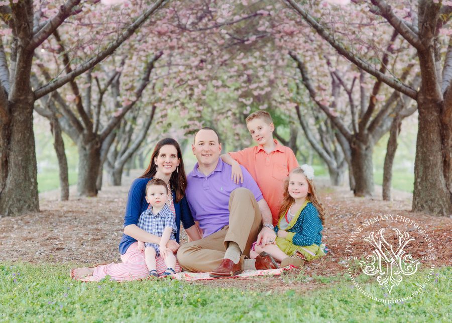 Beautiful spring family portraits taken under crab apple trees in St Louis by Yvonne Niemann Photography.