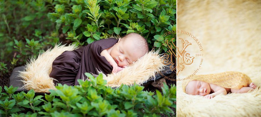 Newborn Photography Session taken at family's home in Chesterfield, MO