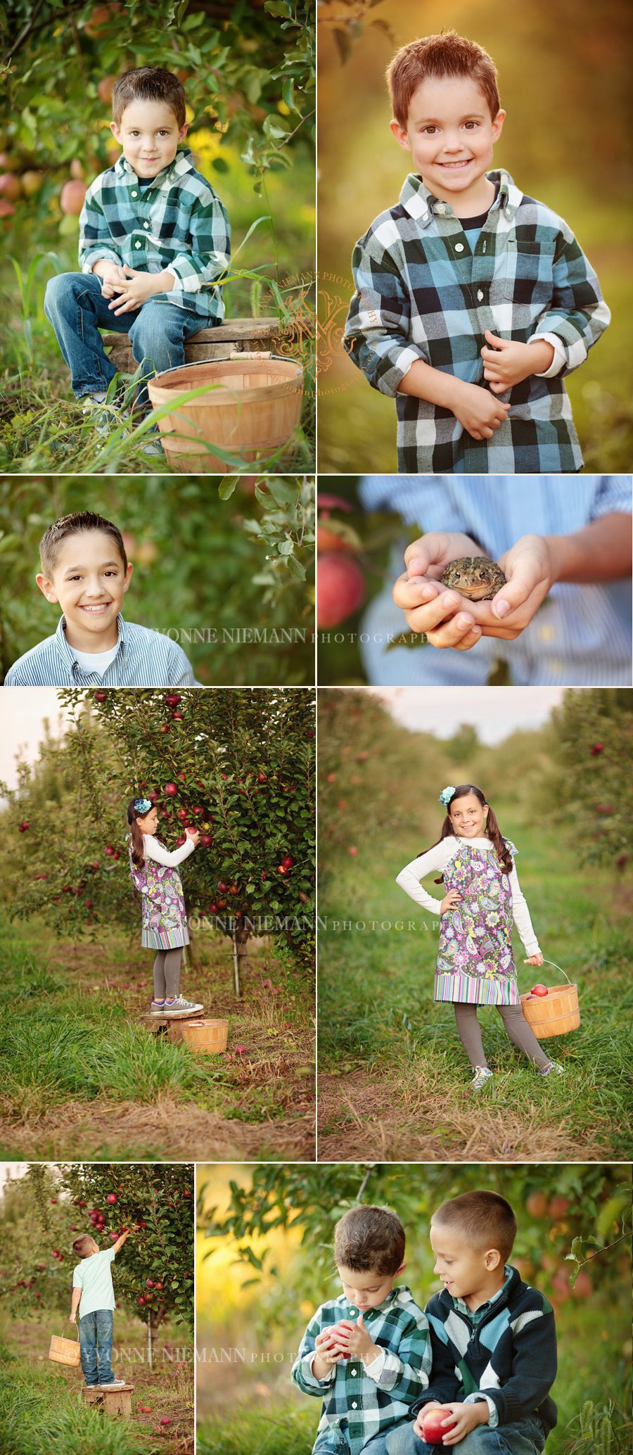 Portraits of four siblings at apple orchard taken by Yvonne Niemann Photography.