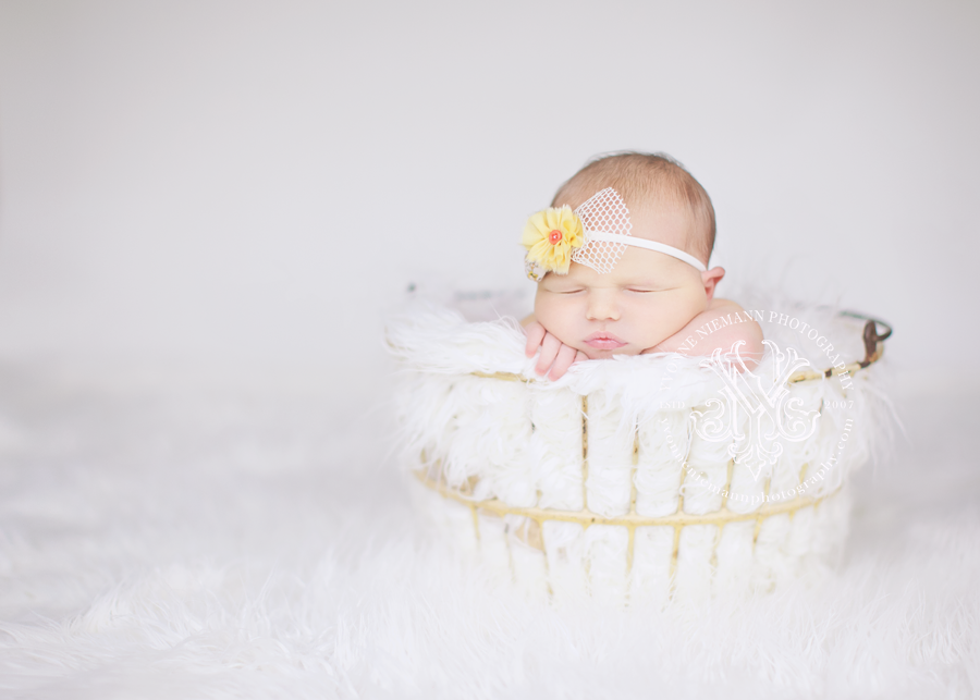 St. Louis Infant Girl in an egg basket.
