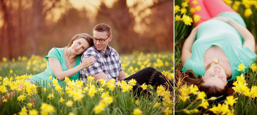 Maternity portraits taken in a field of yellow daffodils in St. Louis by Yvonne Niemann Photography.