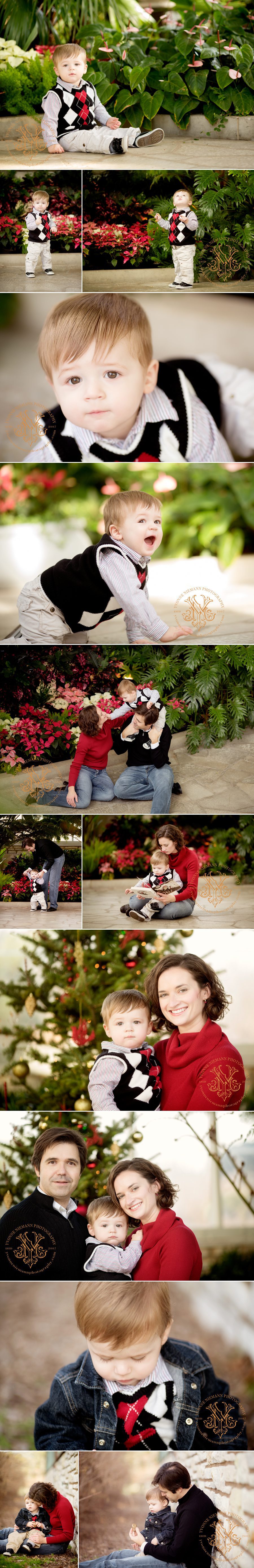 Natural family portraits taken at St. Louis Jewel Box by Yvonne Niemann Photography.