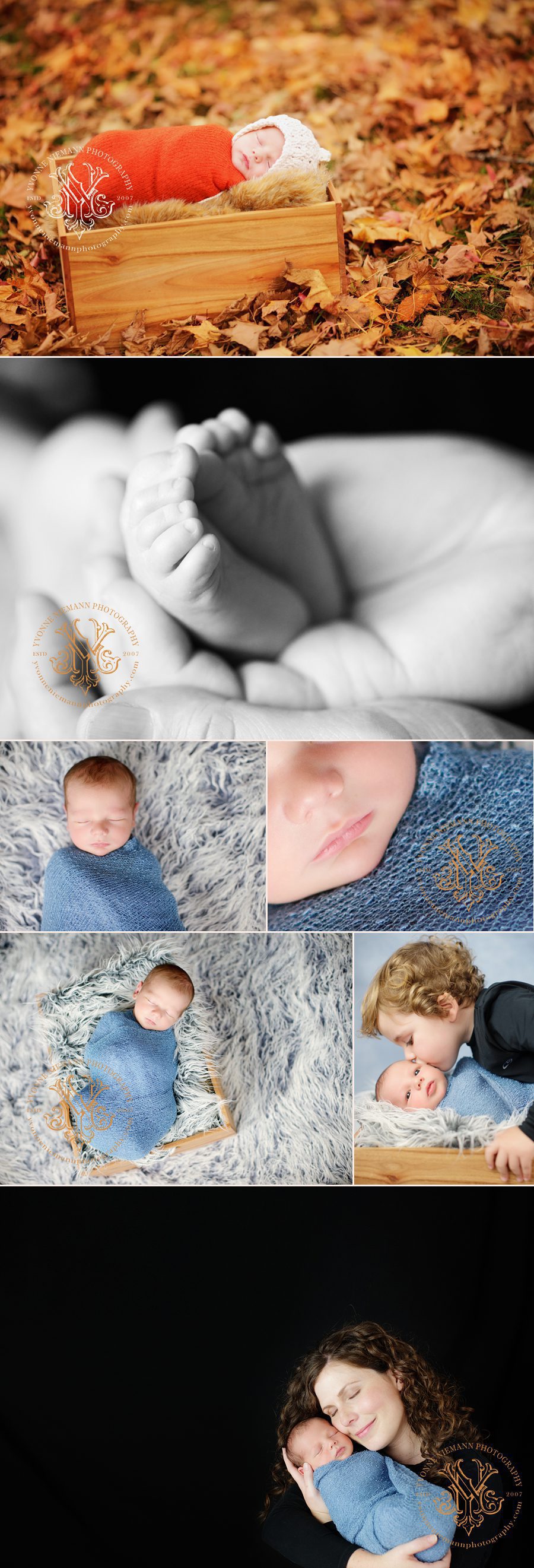 Newborn Portraits taken by Yvonne Niemann Photography on location in St. Louis, MO.