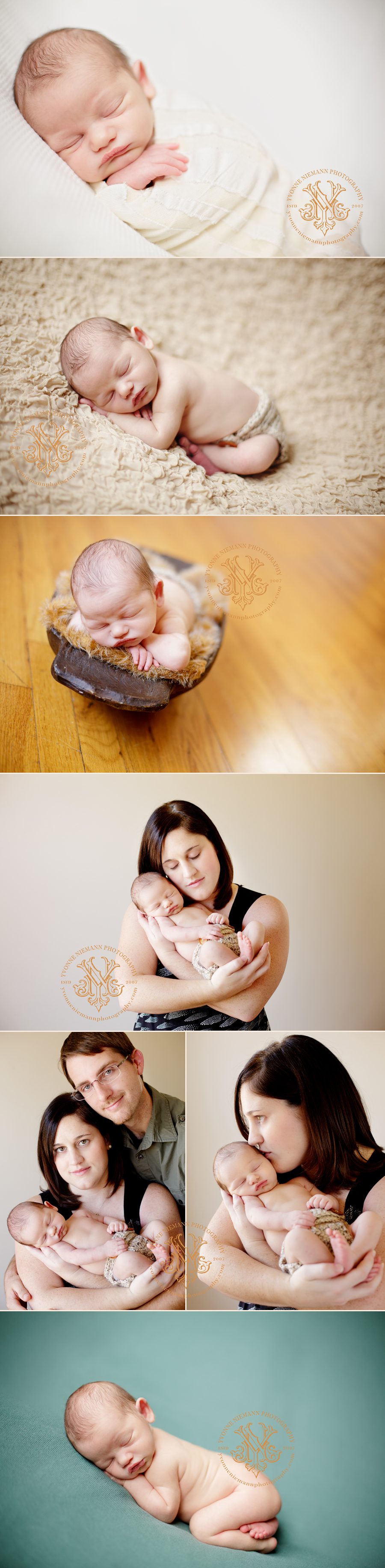 One week old newborn portraits taken by St. Louis Infant Photographer, Yvonne Niemann.