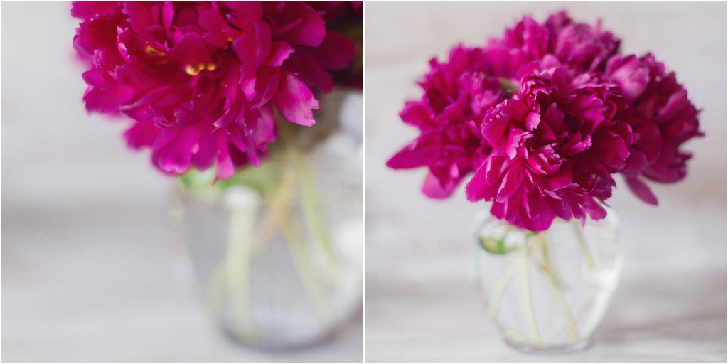 fuchsia peonies in a glass vase