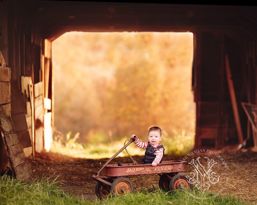 Portrait of baby in a barn sitting in a radio flyer wagon taken by Yvonne Niemann Photography in Eureka, MO.