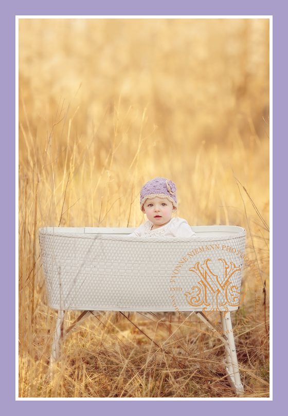 Portrait of baby in field in vintage bassinet in Florissant, MO.