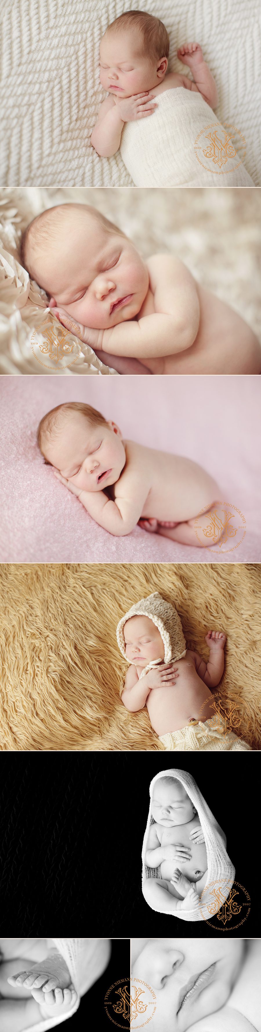 Portraits of a newborn girl at her home in St. Louis taken by Yvonne Niemann Photography.