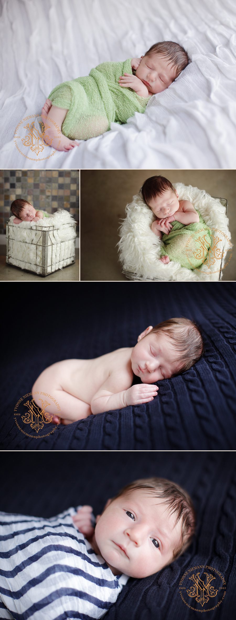 Portraits of a newborn under one week old taken by Yvonne Niemann Photography in St. Louis