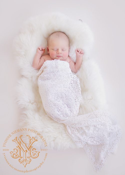 Pure St. Louis Newborn Photography by Yvonne Niemann