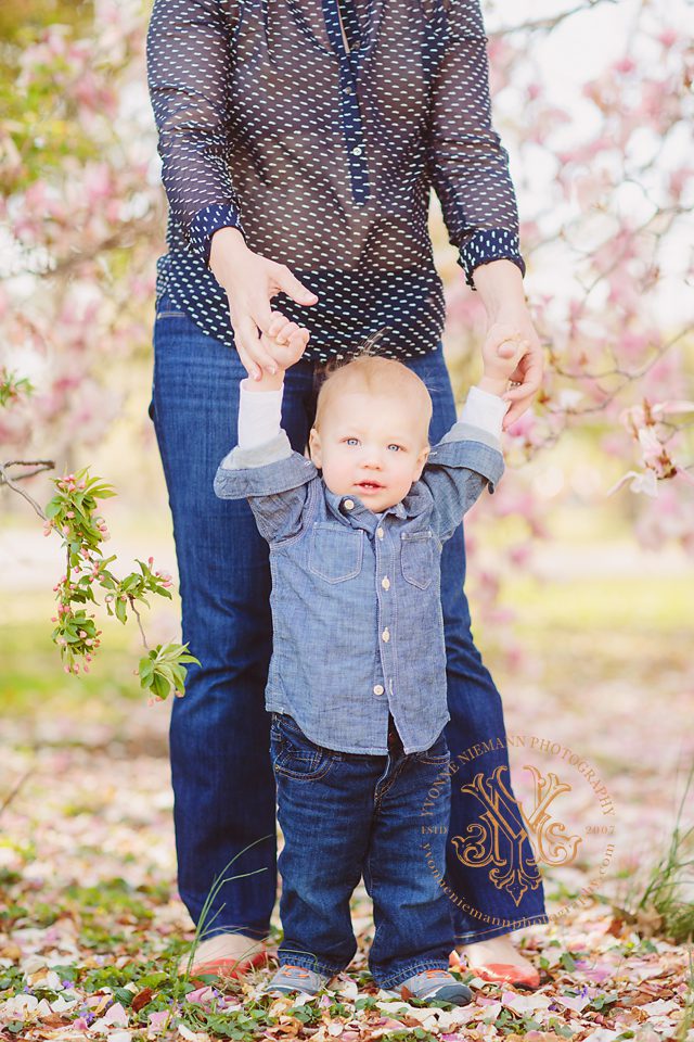 Spring St. Louis outdoor baby portrait surrounded by magnolia tree blooms.