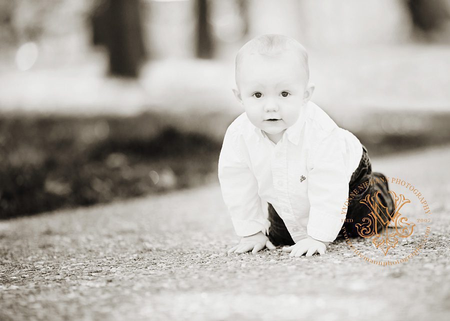 Baby boy crawling during his first birthday photography session in St. Louis.