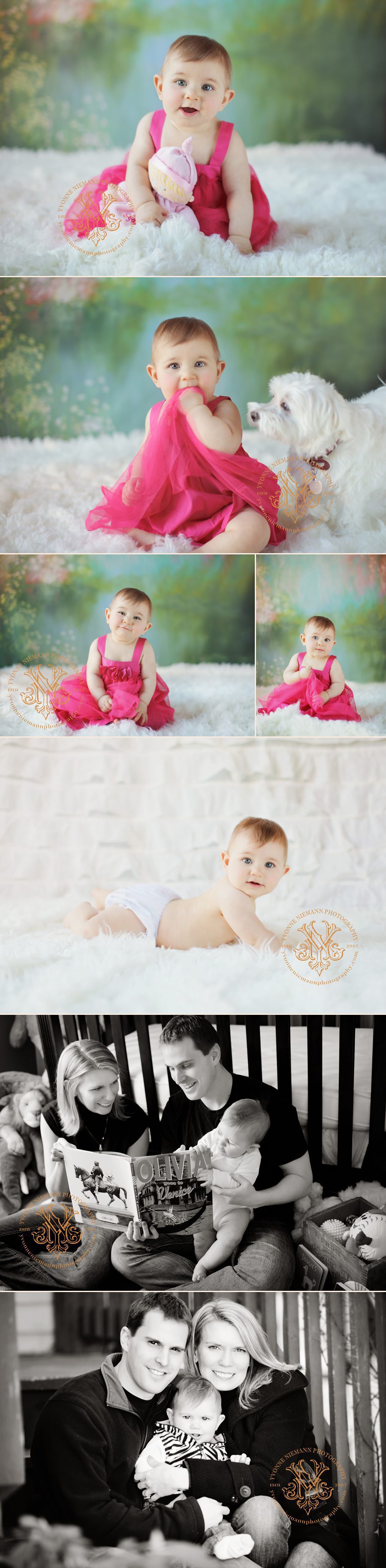 St. Louis Baby Portraits of a 7 month old girl taken by Yvonne Niemann Photography.