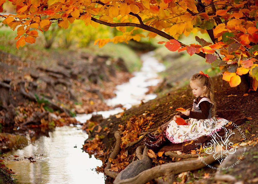 St. Louis fine art child portrait of little girl sitting under an Autumn tree next to a stream.