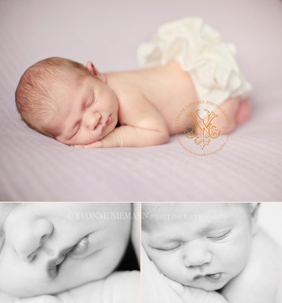 St. Louis Newborn Portraits by Yvonne Niemann Photography