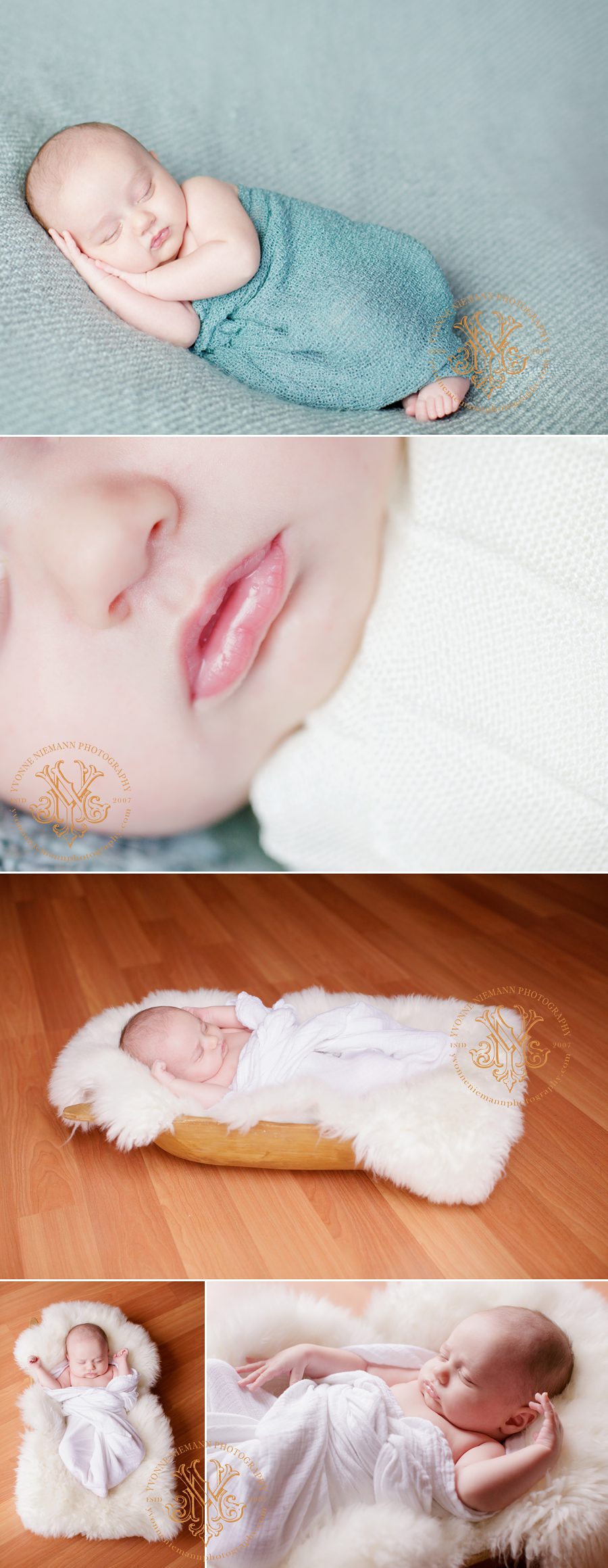 Sweet and natural newborn portraits taken in St. Louis by Yvonne Niemann Photography.