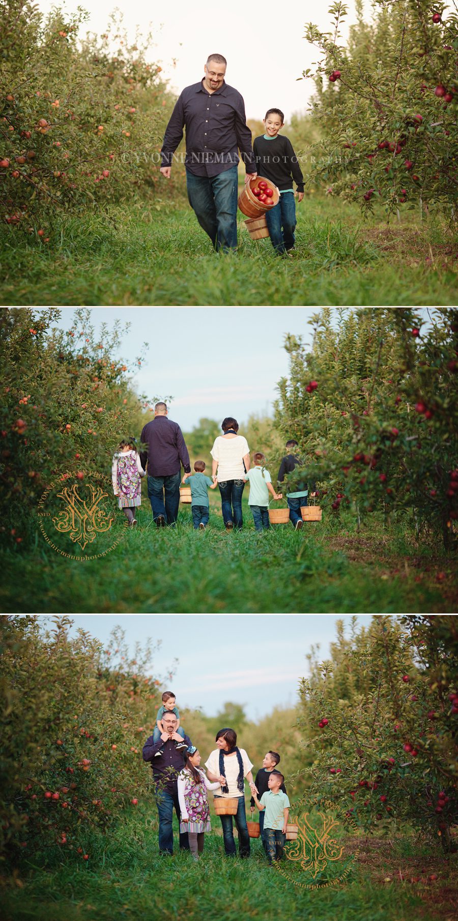 Photos of family in the fall at apple orchard captured by Yvonne Niemann Photography.
